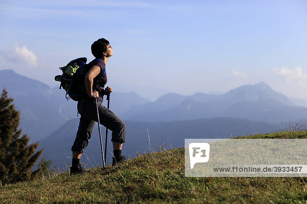 Hiker enjoying the sun on a mountain pasture  Zwieselalm  Salzkammergut  Upper Austria  Austria  Europe