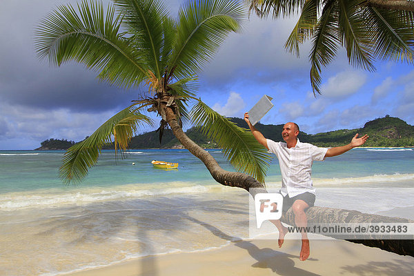 Mann mit Laptop auf Kokospalme  Baie Lazare  Insel Mahe  Seychellen  Afrika  Indischer Ozean