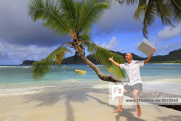 Mann in Urlaubsstimmung freut sich  sitzend mit Laptop auf einer Kokospalme (Cocos nucifera)  Baie Lazare  Insel Mahe  Seychellen  Afrika  Indischer Ozean