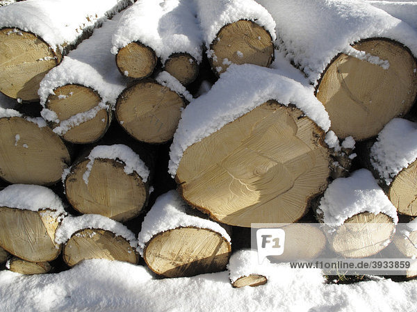 Fichtenholz im Winter