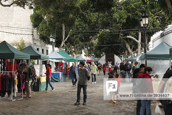 Market  Plaza Leon y Castillo  laurel trees  Haria  Lanzarote  Canary Islands  Spain  Europe