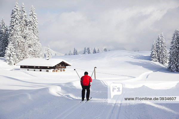 Skiläufer in der Loipe und typisches bayrisches Haus  Bayern  Deutschland  Europa