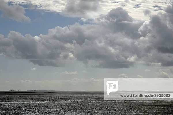 Hiking on the mudflats in the south of the North Frisian island Pellworm  North Friesland  Schleswig-Holstein  Germany  Europe