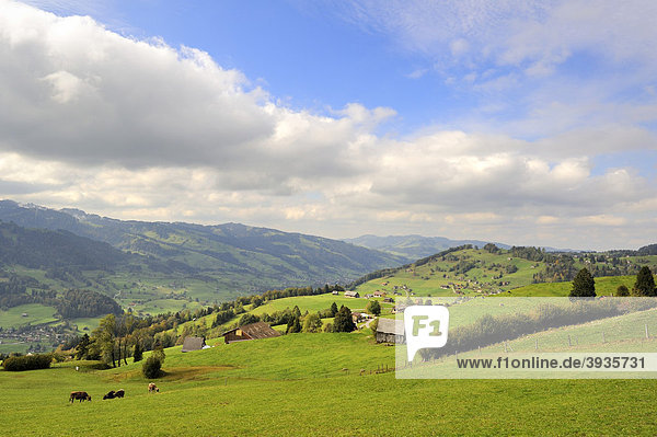 Blick von einer Bergweide in das Thurtal und die Region Toggenburg bei Wattwil  Kanton St. Gallen  Schweiz  Europa
