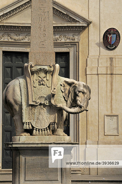 Berninis Elefant  Obelisk  Rom  Italien  Europa