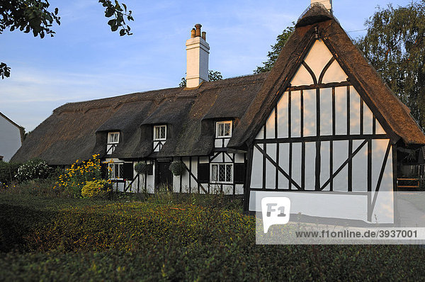 Altes reetgedecktes Wohnhaus im Abendlicht  High Street  Hemingford Abbots  Cambridgeshire  England  Großbritannien  Europa