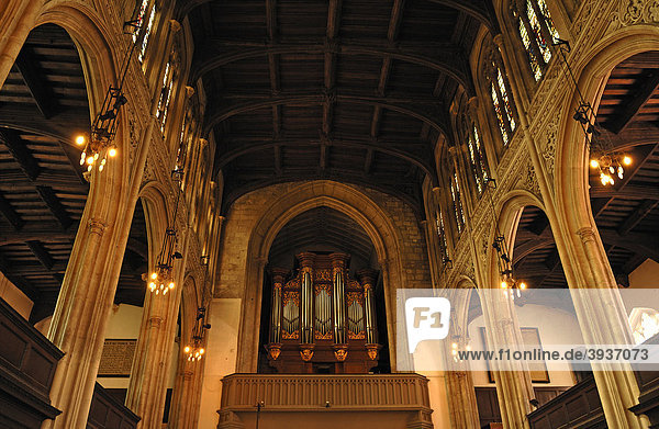 Innenraum der Universitäts-Kirche Great St. Mary's Church  englische Gotik zwischen 1478 und 1519  mit Orgel  1 King's Parade  Cambridge  Cambridgeshire  England  Großbritannien  Europa