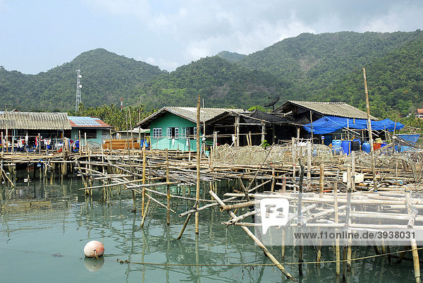 Pier mit Bebauung in der Bang Bao Bucht  Insel Koh Chang  Nationalpark Mu Ko Chang  Trat  Golf von Thailand  Thailand  Asien
