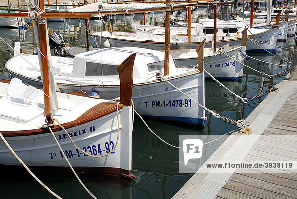 Segelboote im Hafen  Puerto Soller  Port de Soller  Mallorca  Balearen  Balearische Inseln  Mittelmeer  Spanien  Europa