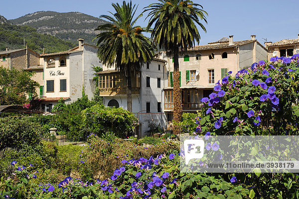 Häuser mit Garten  Soller  Mallorca  Balearen  Balearische Inseln  Spanien  Europa