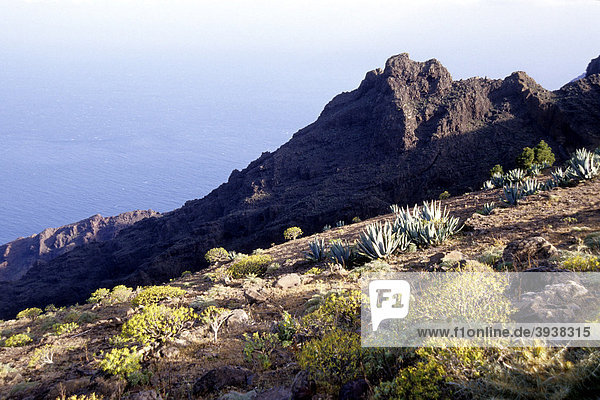 Natur und Landschaft am La Merica Berg  Risco de Heredia  Valle Gran Rey  La Gomera  Kanarische Inseln  Spanien  Europa