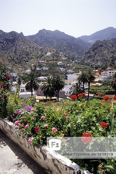 Häuser und grüne Terrassen am Berghang  Landschaft mit Blumen im Vordergrund  Vallehermoso  Valle Hermoso  La Gomera  Kanarische Inseln  Spanien  Europa