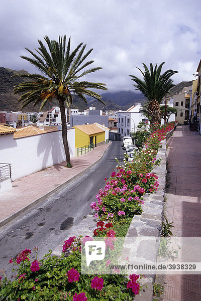 Straße mit Palmen und Blumen  Hauptstadt San Sebastian  La Gomera  Kanarische Inseln  Spanien  Europa
