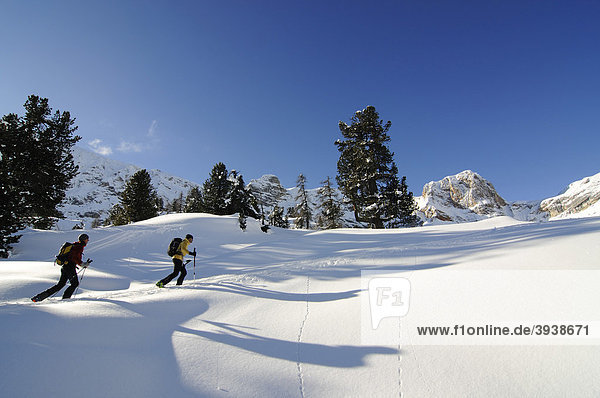 Ski touring  Mt. Grosser Jaufen  Pragser Tal valley  Hochpustertal valley  South Tyrol  Italy  Europe