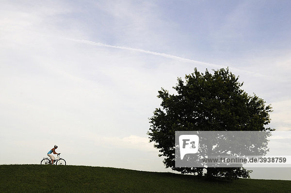 Young woman riding a bicycle  Bavaria  Germany  Europe
