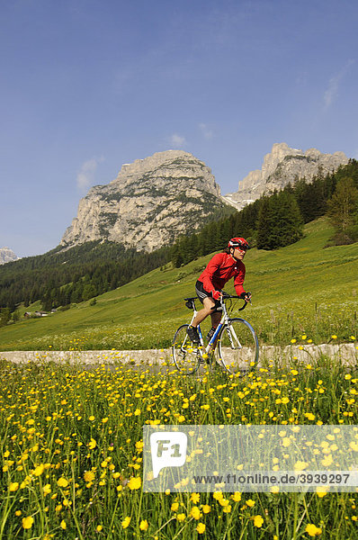 Bike racer near La Villa  Alta Badia  South Tyrol  Italy  Europe