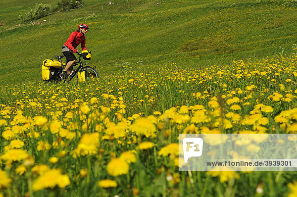 Tourenradfahrer bei La Villa  Alta Badia  Südtirol  Italien  Europa