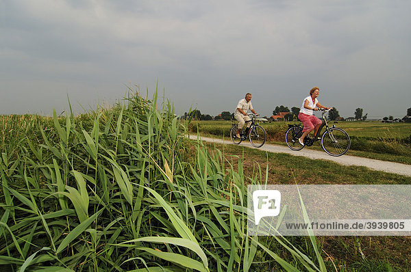 Radfahrer  Friesland  Holland  Niederlande  Europa