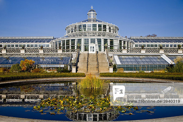 Das Palmenhaus Botanischer Garten In Kopenhagen Danemark Europa