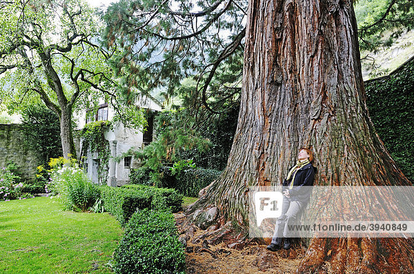 Frau und alter Mammutbaum (Sequoioideae  Sequoia) im Park und Garten des historisches Hotel und Palast Palazzo Salis  Dorf Soglio  Tal des Bergell  Val Bregaglia  Engadin  Graubünden  Schweiz  Europa