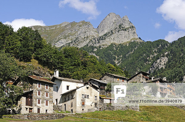Dorf Dasile bei Savogno  Val Bregaglia  Tal des Bergell  und Chiavenna  Provinz Sondrio  Italien  Europa