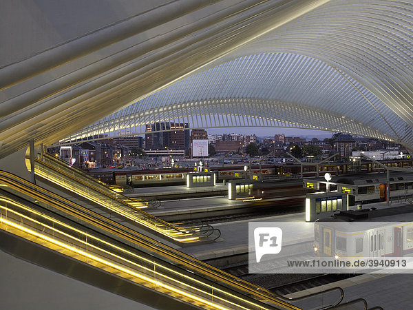 Bahnhofshalle  Gare de LiËge-Guillemins  Architekt Santiago Calatrava  Lüttich  Belgien  Europa