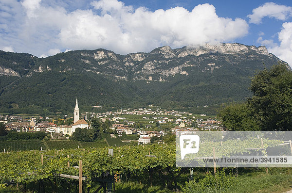 Weinberg  Bergdorf  Kaltern  Trentino  Südtirol  Italien  Europa