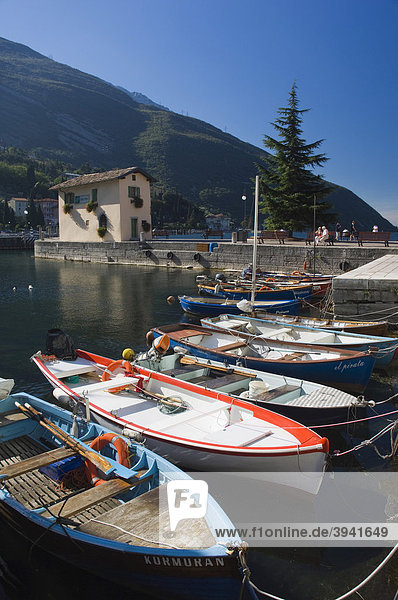 Fischerboote  Torbole  Gardasee  Lago di Garda  Trentino  Italien  Europa