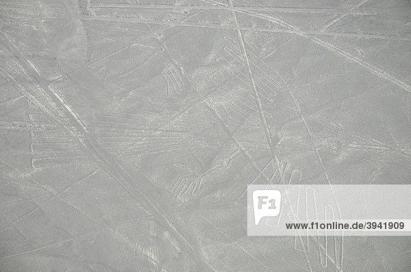 Kolibri  96m  Nazca-Linien  Nazca  Wüstenlinie  Peru  Südamerika  Lateinamerika