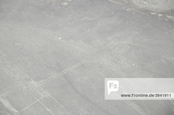 Kolibri  96m  Nazca-Linien  Nazca  Wüstenlinie  Peru  Südamerika  Lateinamerika