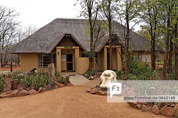 Rezeption des Sirheni Campingplatzes mit Elefantenschädel am Eingang  Kruger Nationalpark  Südafrika  Afrika