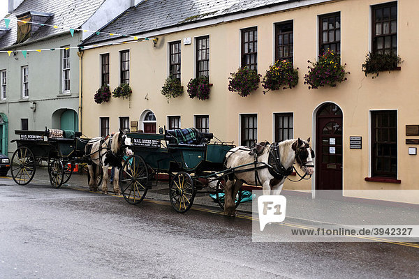 Pferde und Kutschen  Killarney  Irland  Europa