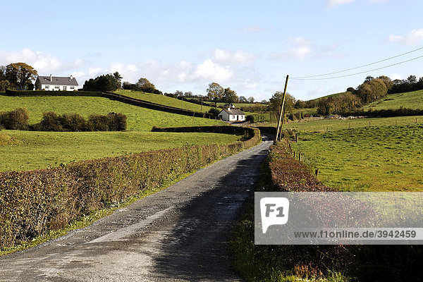 Straße führt Cottages  County Armagh  Nordirland  Europa