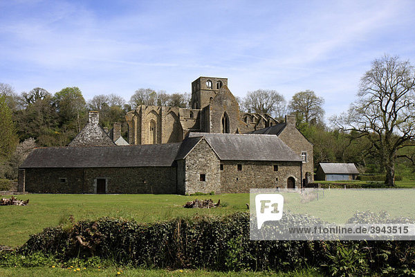 Abbaye de Hambye  Manche  Basse-Normandie  Normandie  Frankreich  Europa