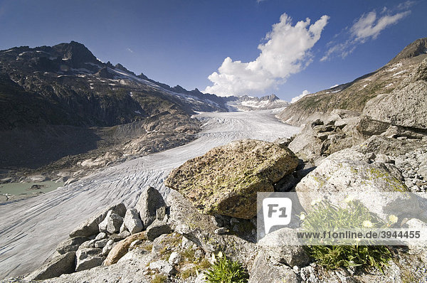 Rhone-Gletscher  dahinter Tieralplistock  Dammastock und Galenstock  Furkapass  Wallis  Schweiz  Europa