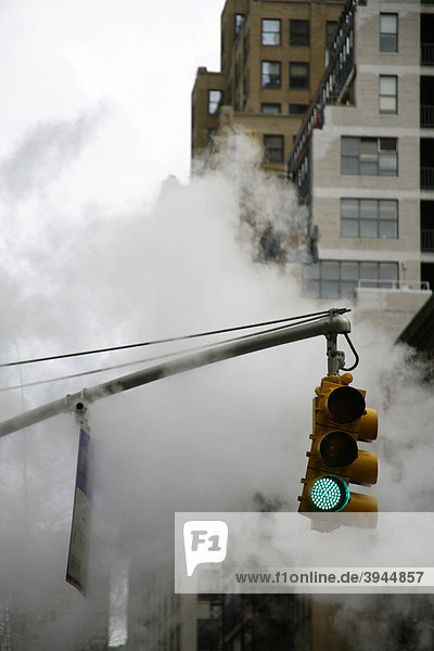Traffic light in smoke  New York  USA