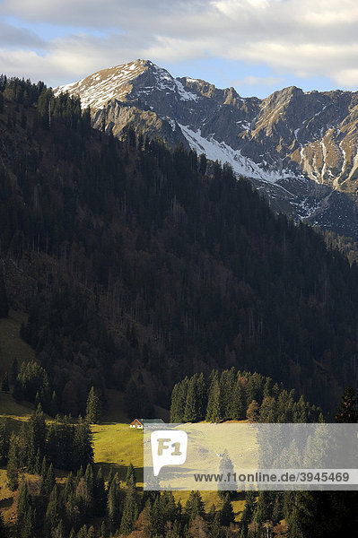 Alm auf Wiesenfläche mit verschneitem Berggipfel  Hindelang  Allgäu  Bayern  Deutschland  Europa