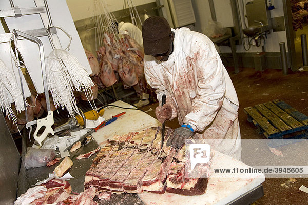 Schlachter  Pavillon des Viandes V1P  Halle für Fleisch  Großmarkt Rungis bei Paris  Frankreich  Europa