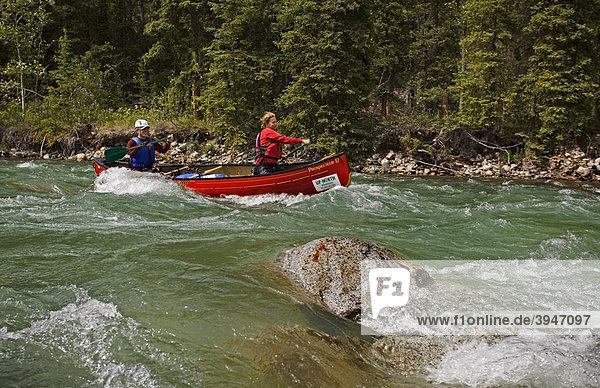 White water canoeing  paddling  rocks and rapids  Wheaton River  Yukon Territory  Canada