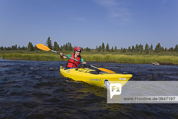 Young woman in kayak  paddling  kayaking  clear  shallow water of Caribou Creek  upper Liard River  Yukon Territory  Canada