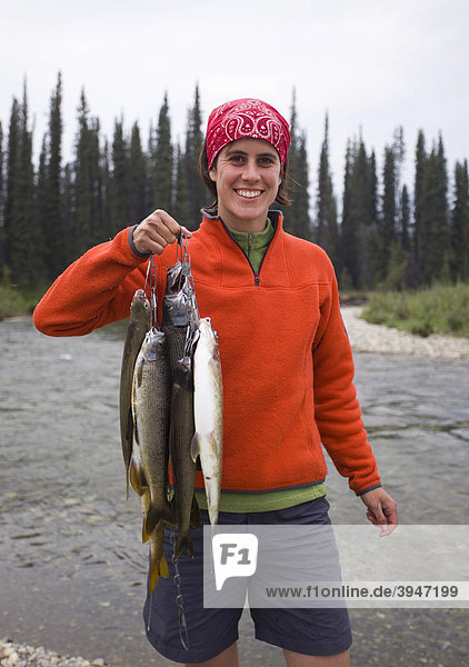 Young woman fishing  presenting her catch  Arctic graylings (Thymallus arcticus)  upper Liard River  Yukon Territory  Canada