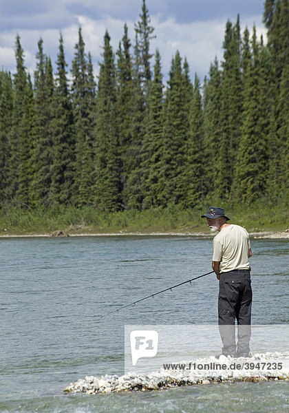 Man fishing upper Liard River  standing on head land  gravel bar  Yukon Territory  Canada