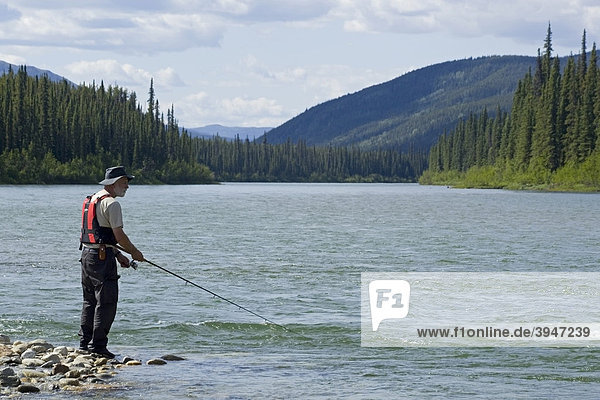 Man fishing upper Liard River  standing on gravel bar  mountains behind  Yukon Territory  Canada