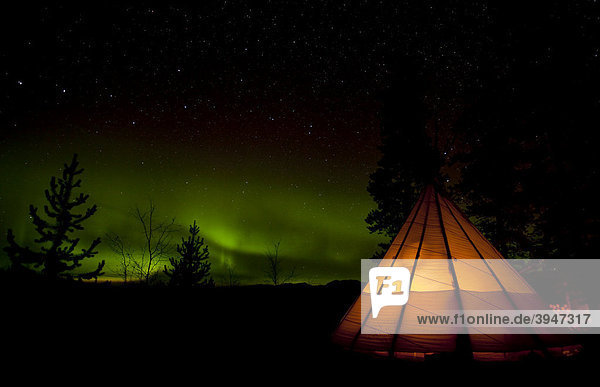 Beleuchtetes Tipi  Nordlichter  Polarlichter  Aurora Borealis  grün  wirbelnd  in der Nähe von Whitehorse  Yukon Territory  Kanada