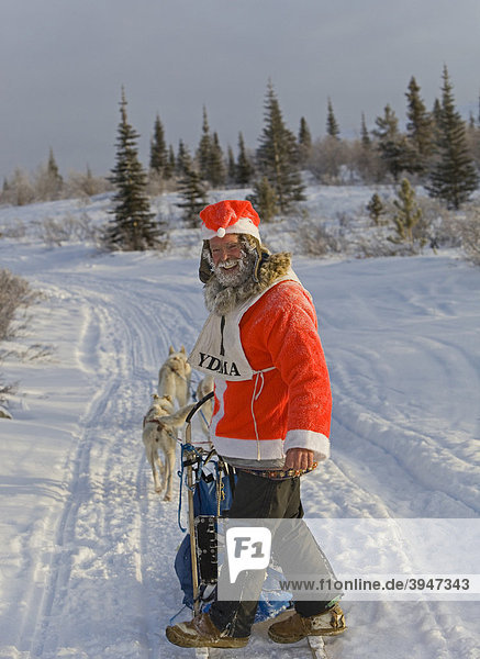 Weihnachtsmann auf einem Hundeschlitten  Mushing  Schlittenhund-Rennen bei Whitehorse  Yukon Territory  Kanada