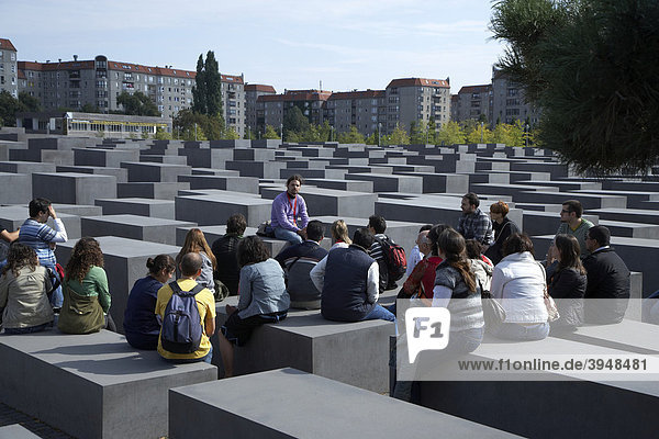 Memorial to the Murdered Jews of Europe  Holocaust Memorial in Berlin  Germany  Europe