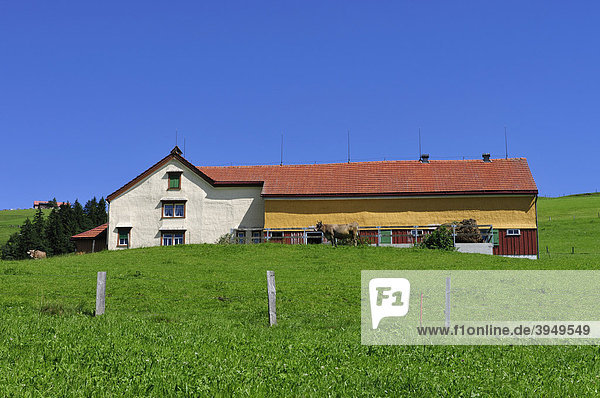 Bauernhaus im Kanton Appenzell  Schweiz  Europa