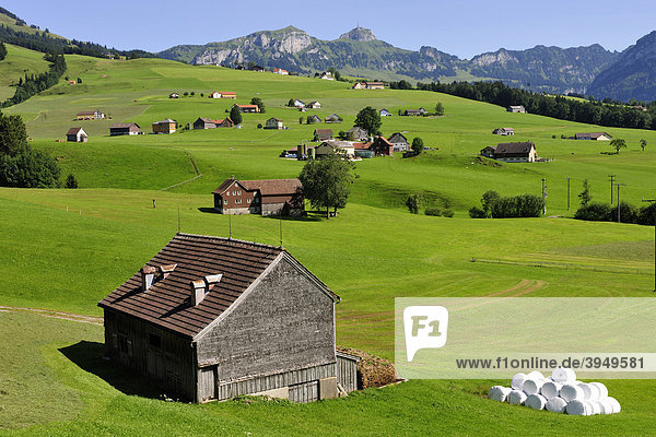 Landschaft im Kanton Appenzell  hinten das Alpsteingebirge  Kanton Appenzell  Schweiz  Europa