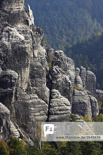 Die Bastei  Felsen im Elbsandsteingebirge im Herbst  Nationalpark Sächsische Schweiz  Sachsen  Deutschland  Europa