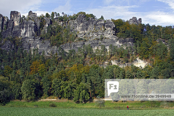Die Bastei  Felsen im Elbsandsteingebirge an der Elbe  Rathen  Nationalpark Sächsische Schweiz  Sachsen  Deutschland  Europa